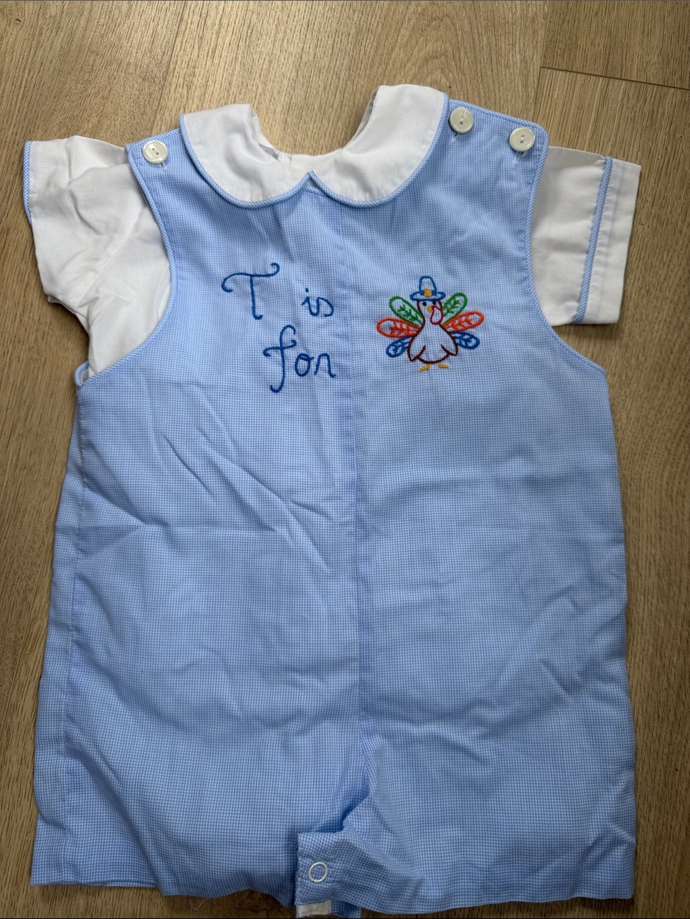 Blue Embroidered Thanksgiving Kids Romper 24m